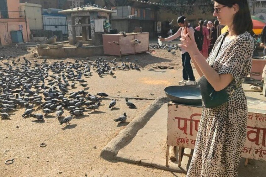 A woman standing by a roadside with pigeons scattered around. 2