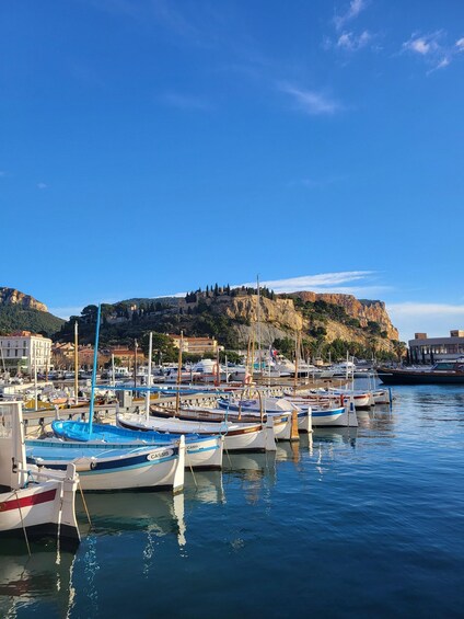 A marina with boats docked, a coastal town, and a castle on a hill. 2