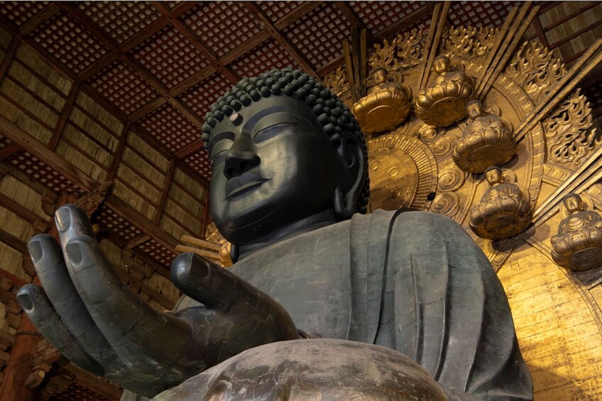Kyoto, Nara, & Uji Tour with Osaka Hotel Transfer 4