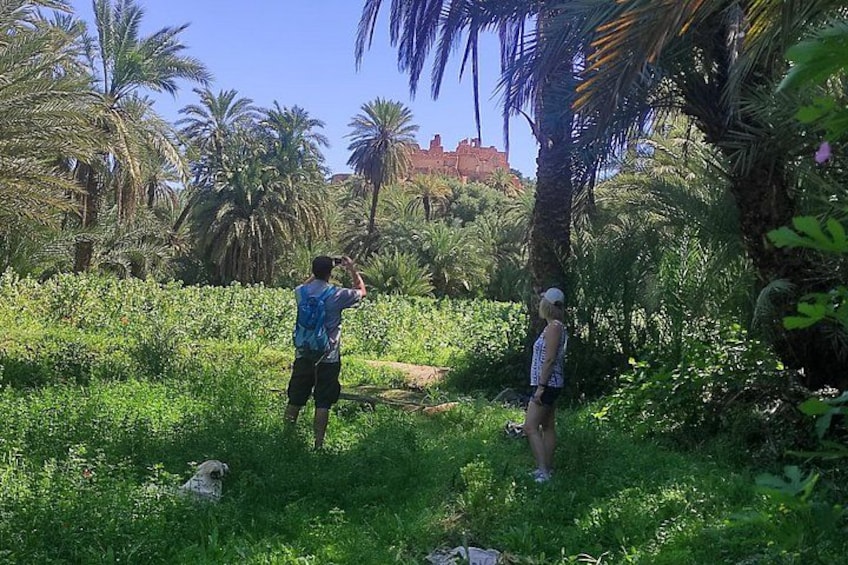 Two people standing in a lush green area with palm trees and a building in the background. 5