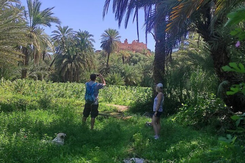Two people in a lush green area with palm trees and a distant castle-like structure. 5