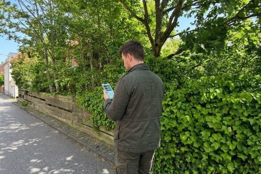 A person standing on a sidewalk, looking at a smartphone. 5