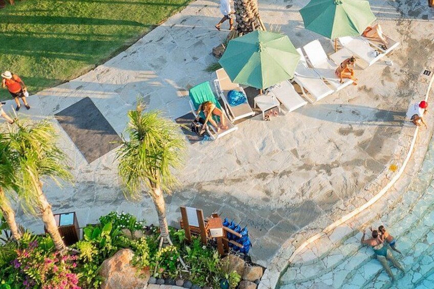 A swimming pool with lounge chairs and umbrellas, surrounded by palm trees and a landscaped area. 4