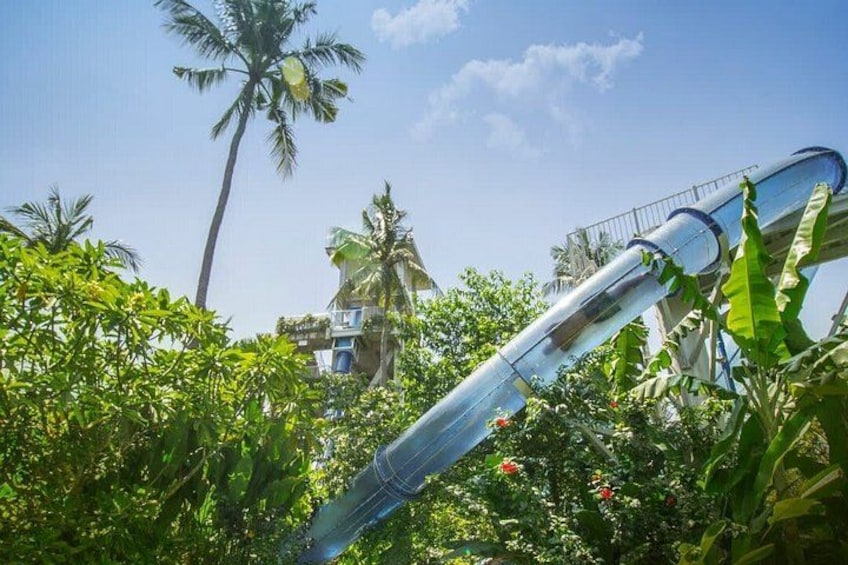 A water slide with a transparent tube, surrounded by lush greenery and palm trees. 3