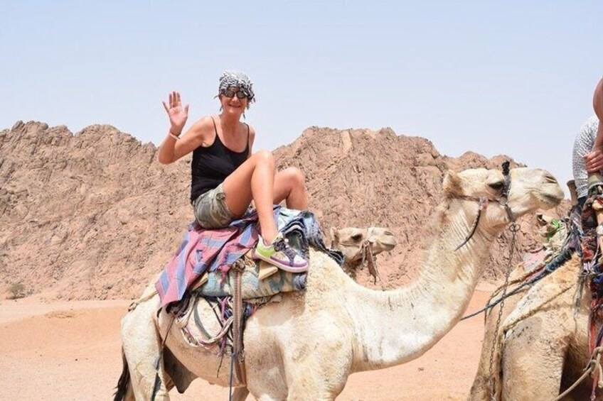 A person riding a camel in a desert with rocky terrain in the background. 5