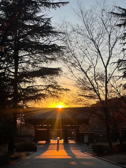A sunset over a park with trees and a gazebo. 5