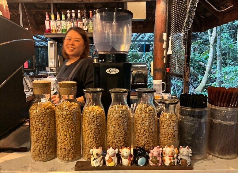 A person behind a counter with various jars of beans and cat figurines. 2