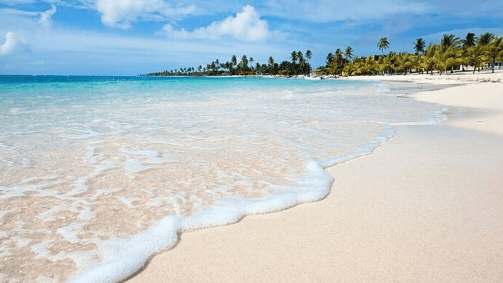 A beach with clear turquoise water, white sand, and palm trees. 1