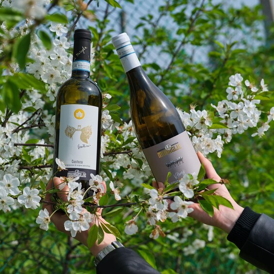 Two wine bottles held by hands amidst blossoming trees. 1