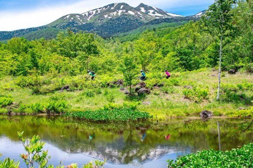 A group of people hiking in a lush green forest with a mountain in the background. 5