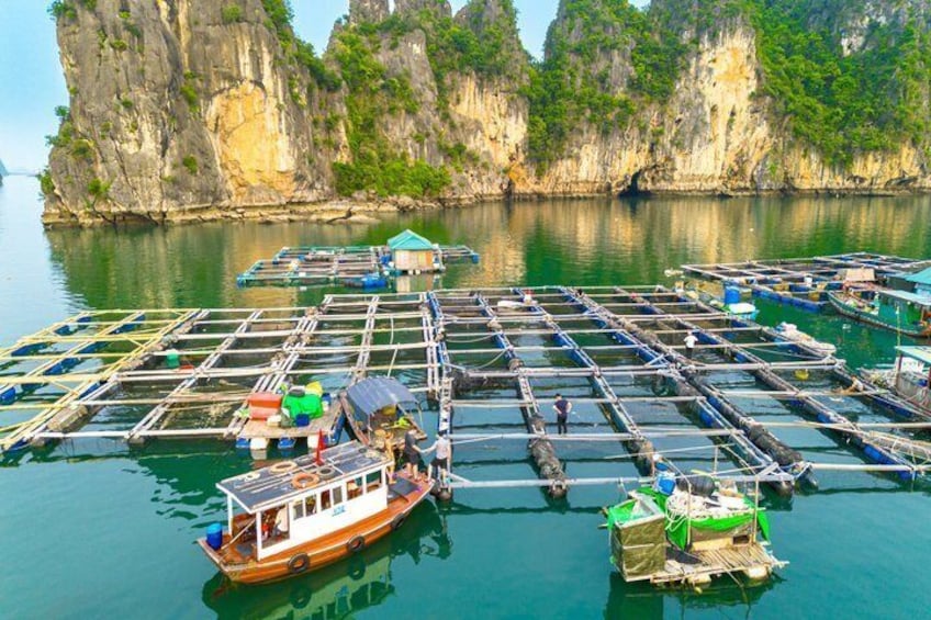 A floating fish farm with boats and cages in the water, surrounded by cliffs. 3