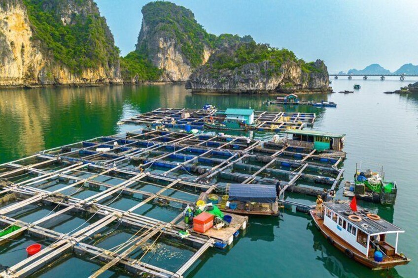 A floating fish farm with numerous cages in the water, surrounded by steep cliffs. 4