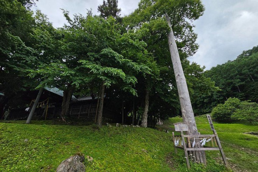 A forested area with a tall wooden structure, possibly a totem or monument, surrounded by lush greenery and a small building in the background. 2