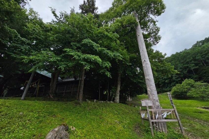 A tall wooden structure in a forested area with a house in the background. 2