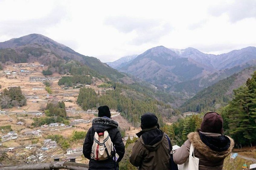 Tokushima Shore Excursion: Custom Car Tour, Licensed Guide 2