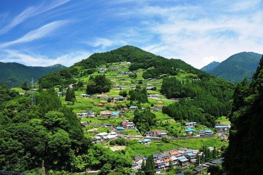 Tokushima Shore Excursion: Custom Car Tour, Licensed Guide 4