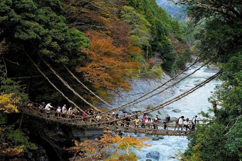 Tokushima Shore Excursion: Custom Car Tour, Licensed Guide 3