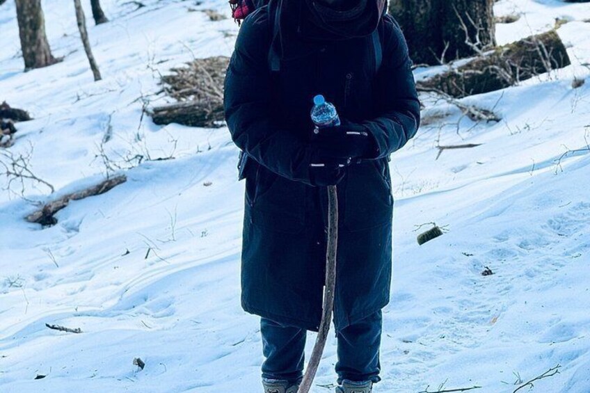 A person in a dark coat holding a walking stick, standing in a snowy forest. 3