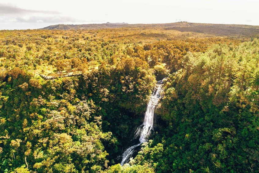 A waterfall in a dense forest with a clear sky. 4