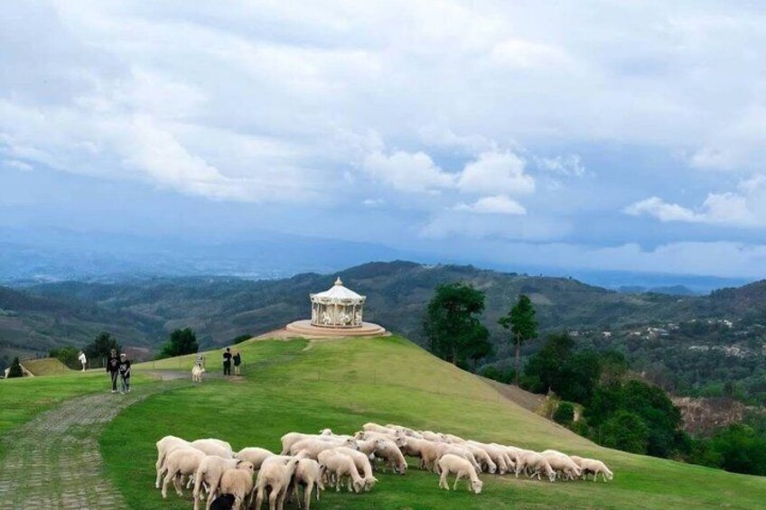 A gazebo on a grassy hill with a flock of sheep grazing below. 3
