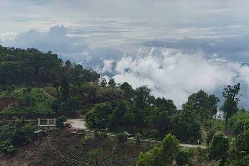 A lush green landscape with a road, trees, and a misty valley. 2