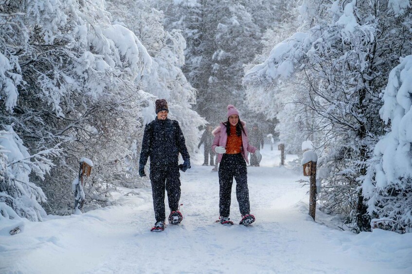 A snowy path flanked by trees, with two people walking. 1