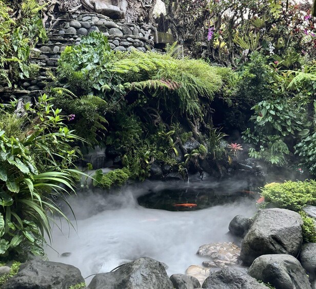 A lush garden with a small waterfall, rocks, and various plants. 3