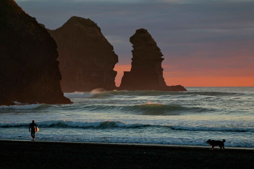 A person with a surfboard walking on a beach, a dog, and rock formations in the ocean. 2