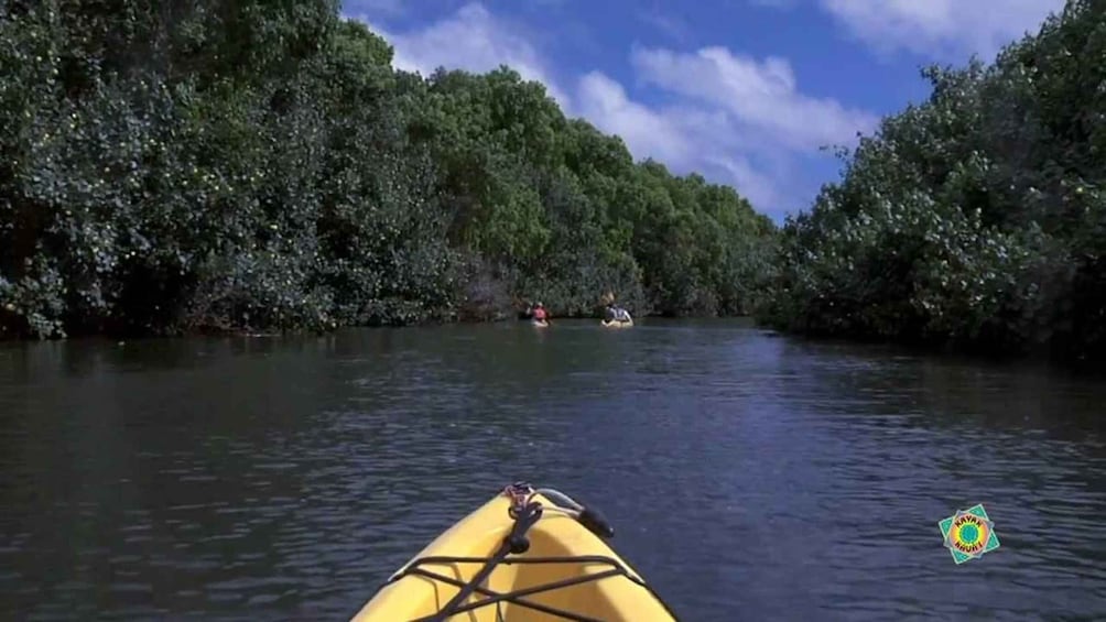 A river with kayaks and dense foliage on both sides. 5