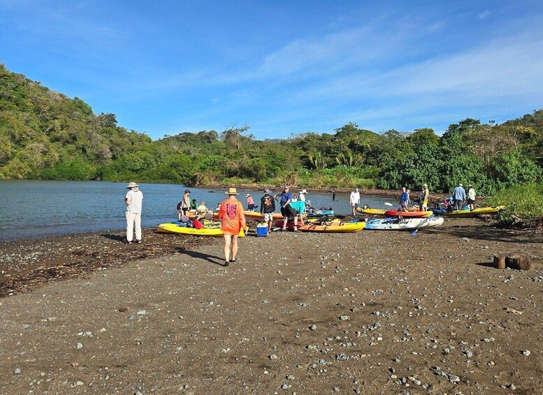 People on a pebbly shore with kayaks lined up, a river in the background, and lush greenery on the banks. 4