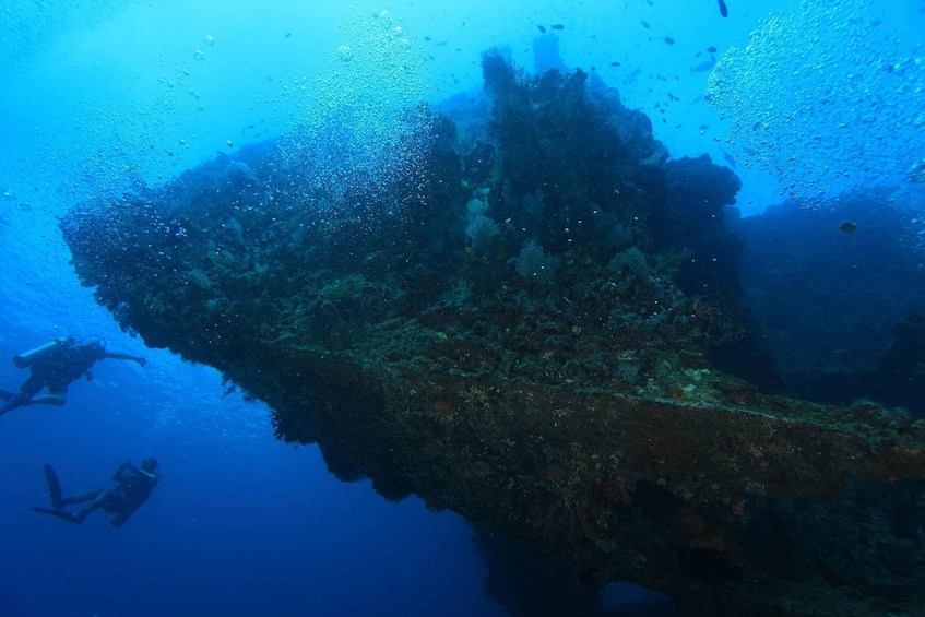 An underwater scene with a large shipwreck surrounded by marine life. 1