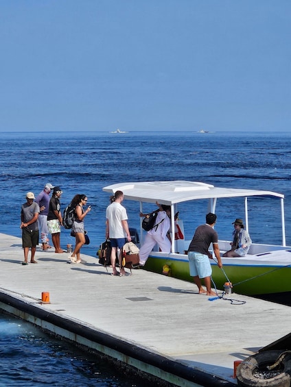 Un grupo de personas sube a un barco en un muelle. 5