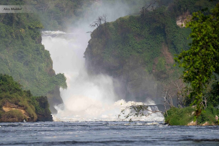 A waterfall cascading down a cliff surrounded by lush greenery. 1