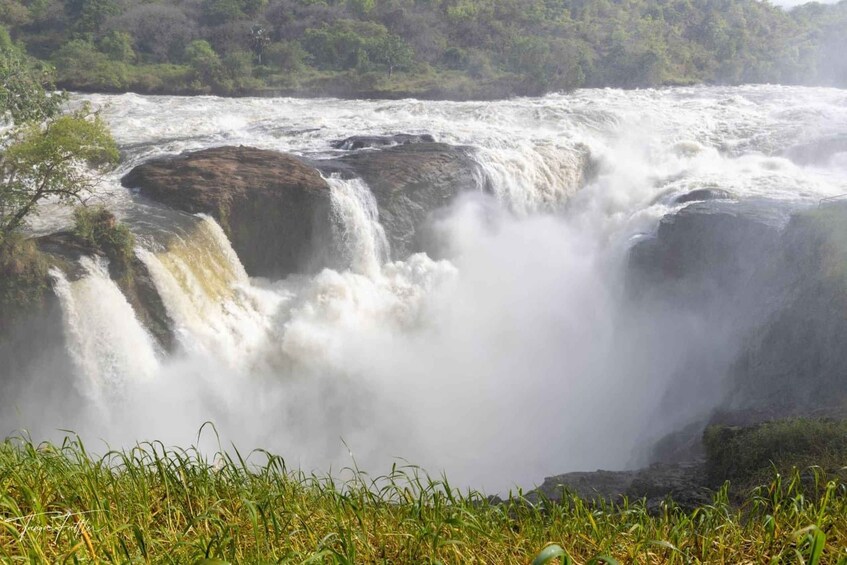 Picture 7 for Activity Kampala: 3-Day Murchison Falls & Ziwa Rhino Safari 2