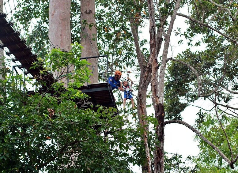 A person in blue harness and helmet suspended on a zip line between trees. 5