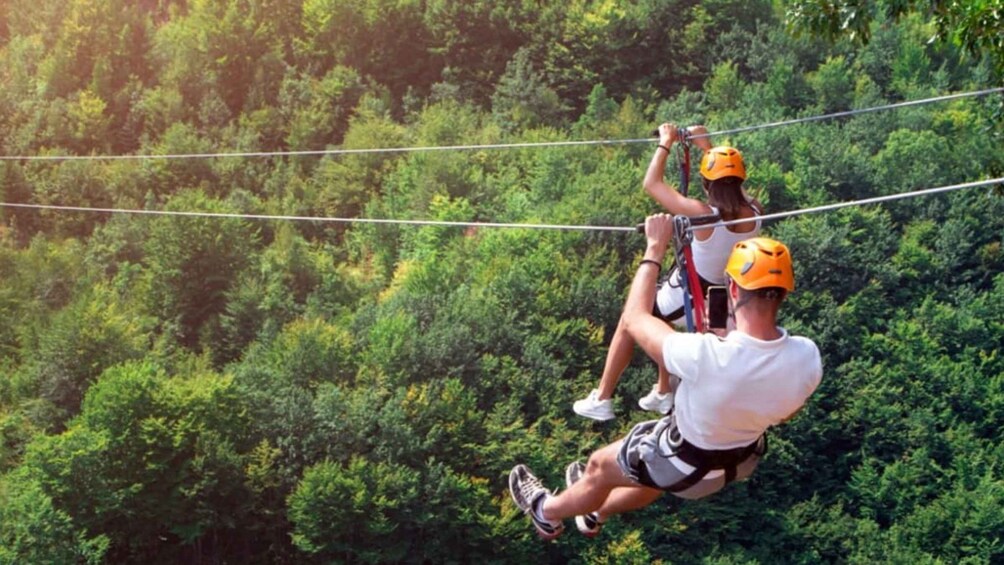 Two people zip-lining through a forest. 3