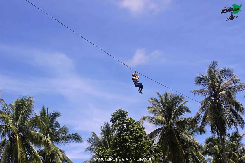 A person ziplining through a tropical landscape with palm trees. 2