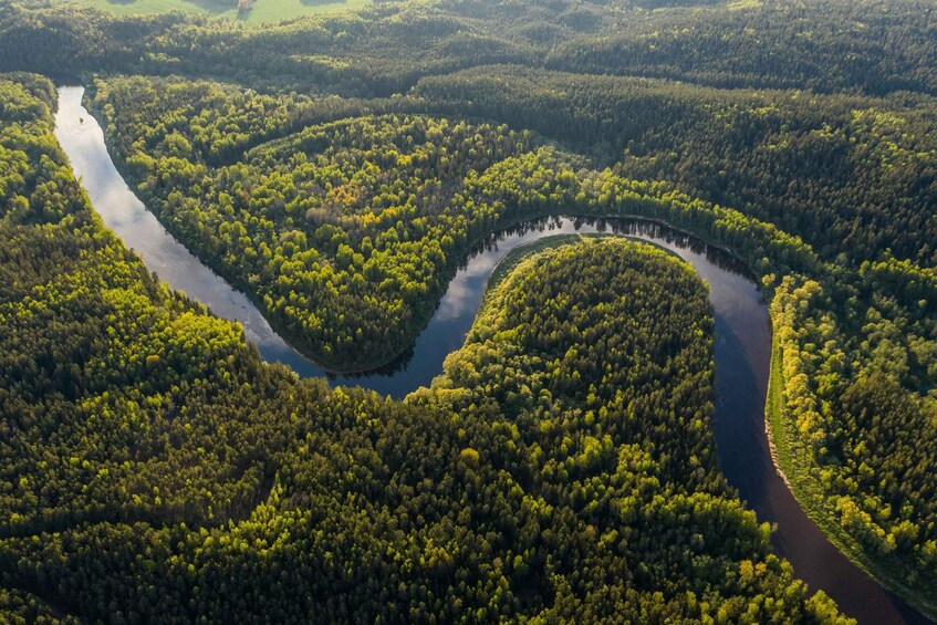 A river winding through a dense forest. 2