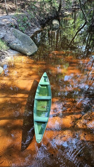 A green canoe in a shallow, muddy water body surrounded by trees and rocks. 5