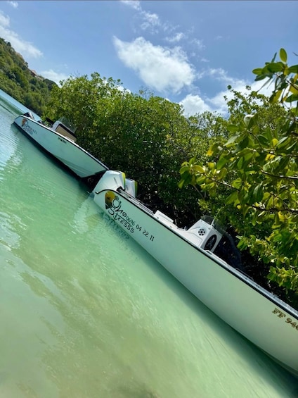 A boat docked near a mangrove forest with clear turquoise water. 1