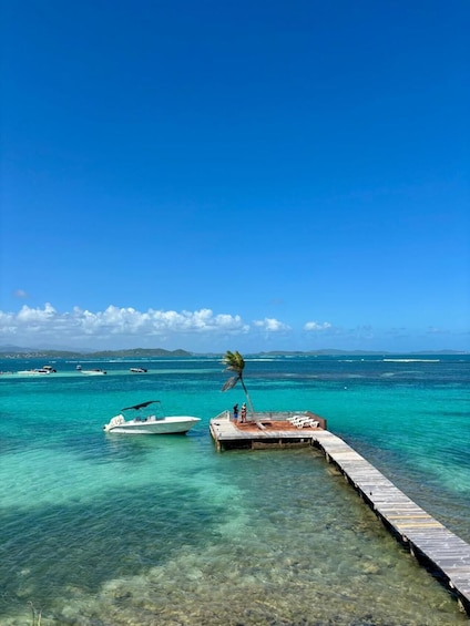 A clear turquoise sea, a wooden pier, a boat, and a palm tree. 2