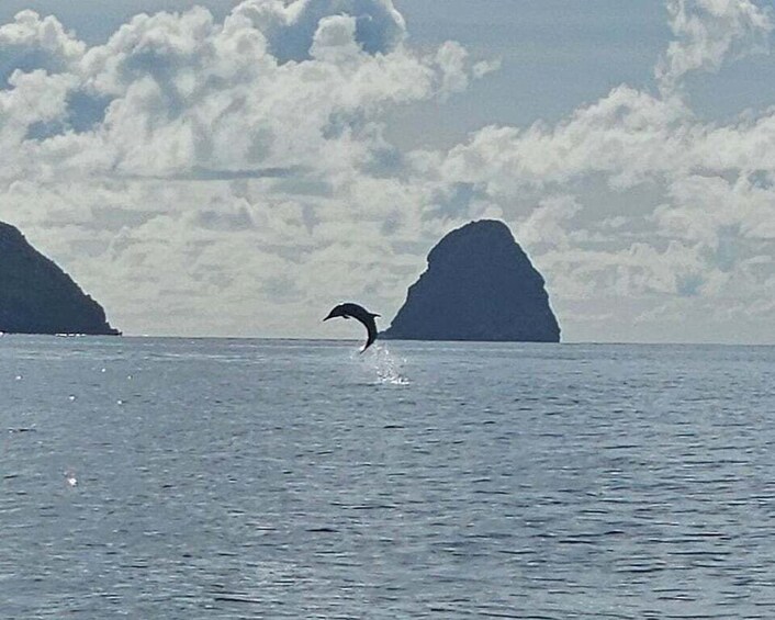 A dolphin leaping out of the water near two large rock formations. 5