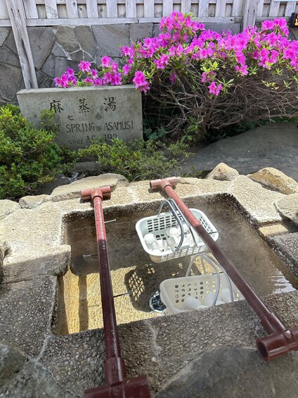 A stone water feature with pipes and a stone basin, surrounded by pink flowers and a stone sign. 3