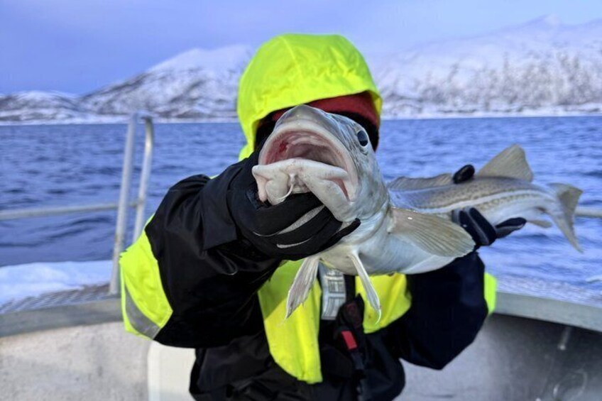 A person in a yellow jacket holding a fish by a boat with a snowy landscape in the background. 5