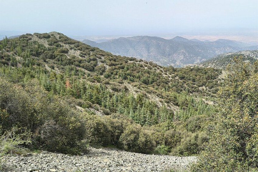 A mountainous landscape with dense vegetation and a clear sky. 4