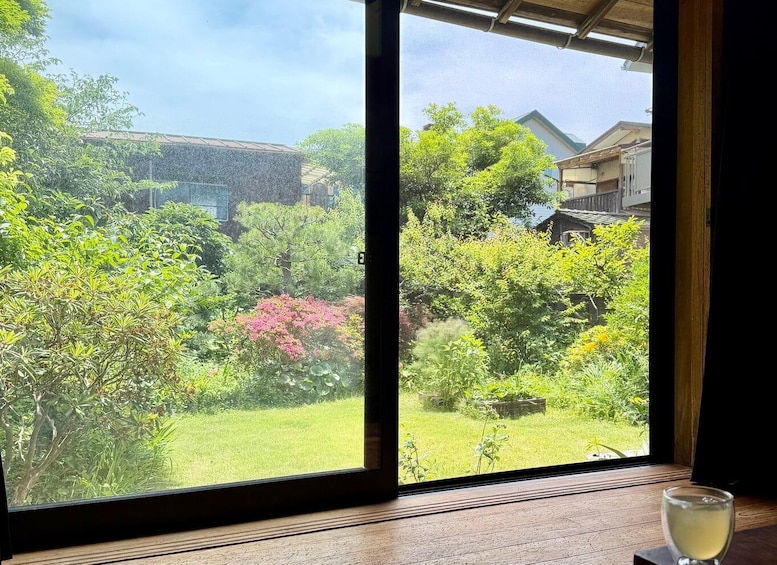 A garden with various plants and a house in the background. 4