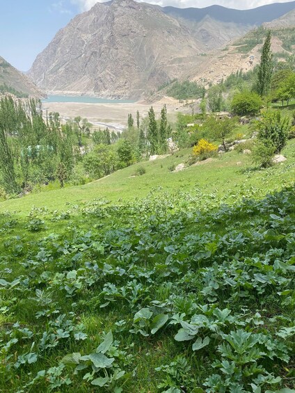 A mountainous landscape with a lake, green vegetation, and a clear sky. 2