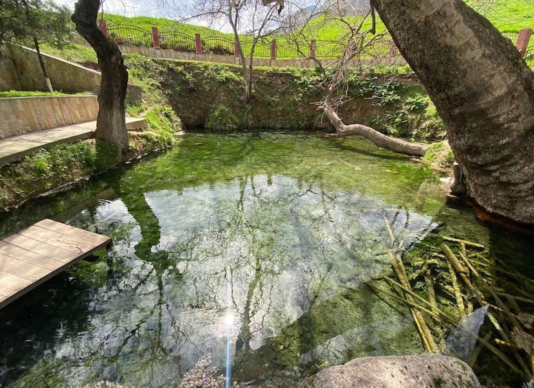 A clear pond with a wooden dock, surrounded by trees and a stone wall. 1