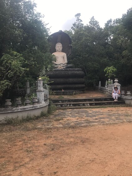 A large seated Buddha statue surrounded by trees and stone structures. 4