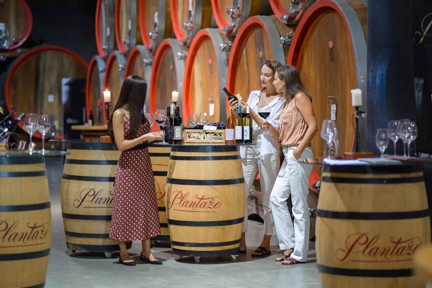 A group of people standing around wooden barrels labeled 'Plantaise' in a cellar. 3